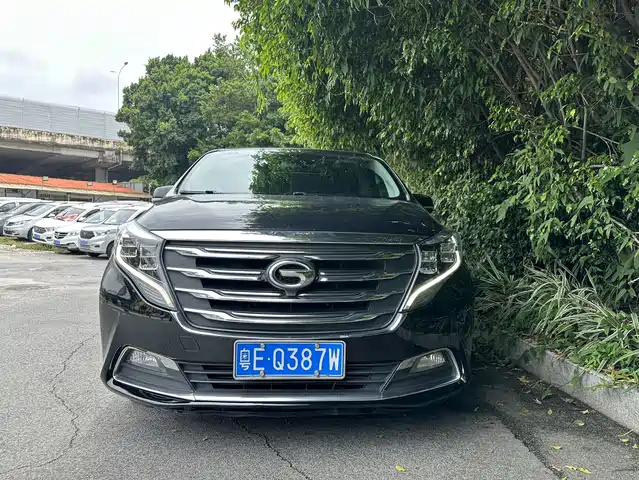 2019 GAC GN8
