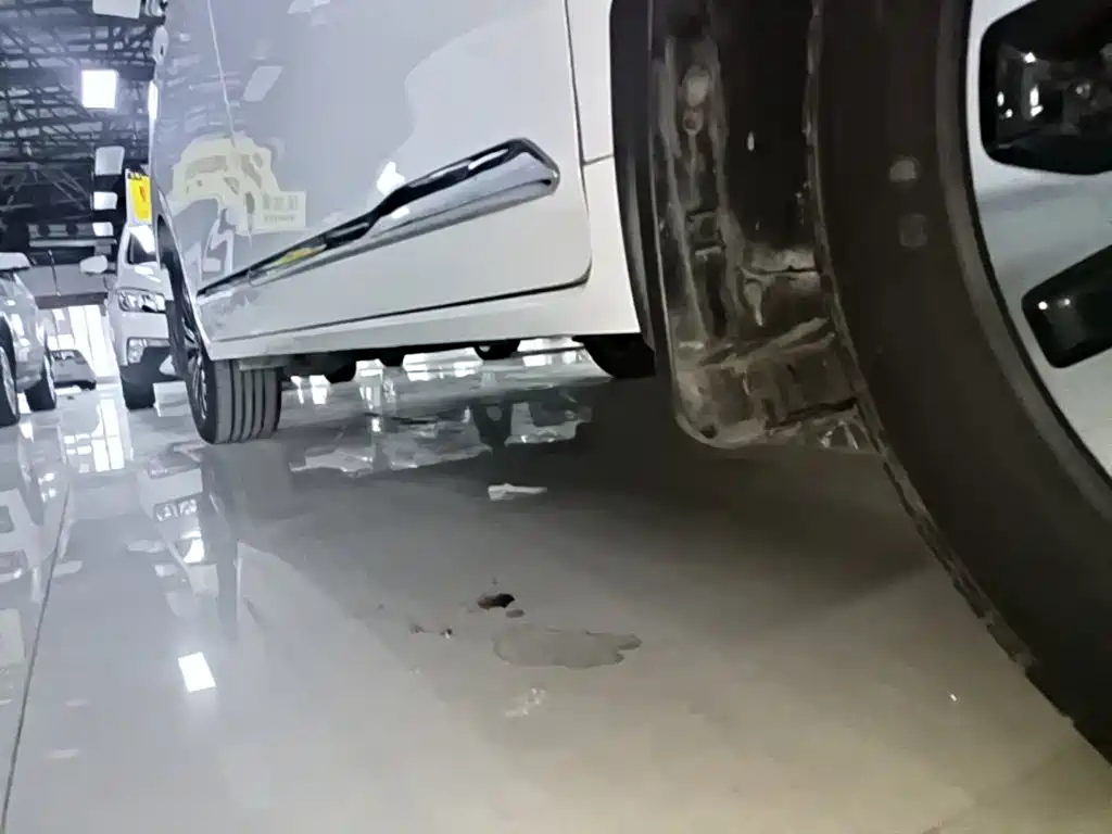 Wuling Jiachen — миниатюра 21