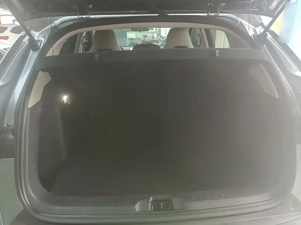 BYD Yuan Plus — миниатюра 19