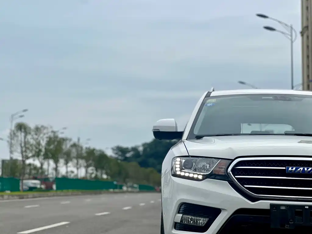 Haval H6 Coupe Blue Label 2.0T Auto 2WD Premium Type, фото 15