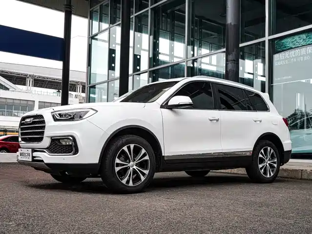 MUSTANG MOTORS MUSTANG T80 2017