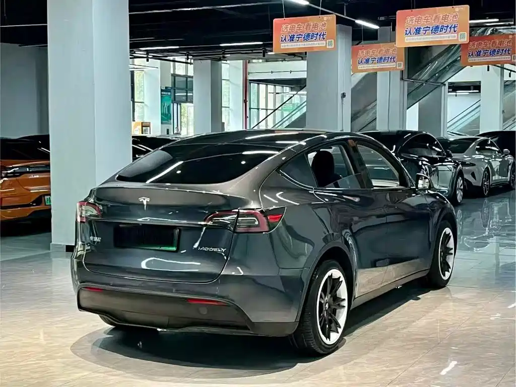 Tesla Model Y — миниатюра 7