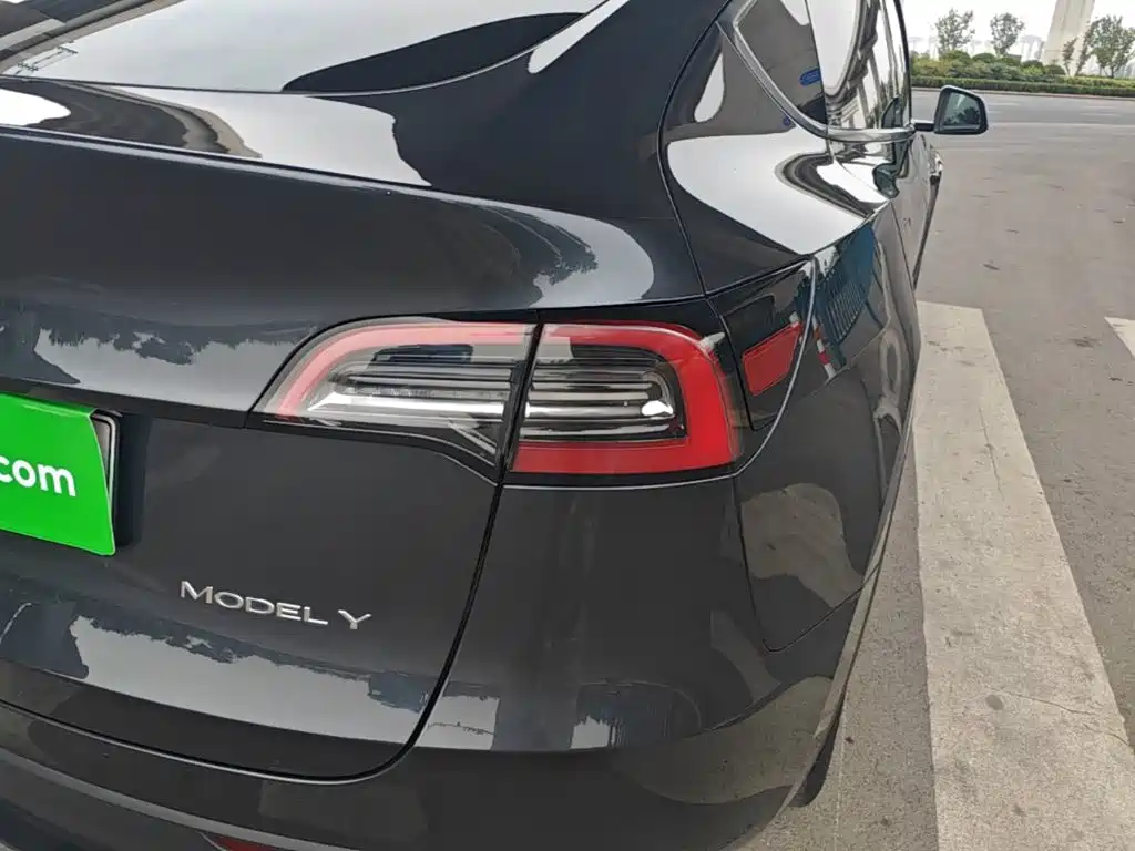Tesla Model Y — миниатюра 8
