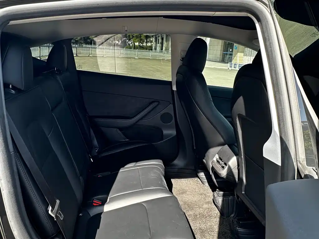Tesla Model Y — миниатюра 13