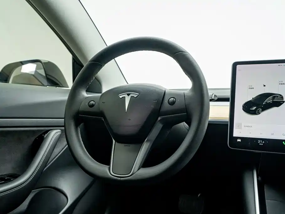Tesla Model 3 — миниатюра 16