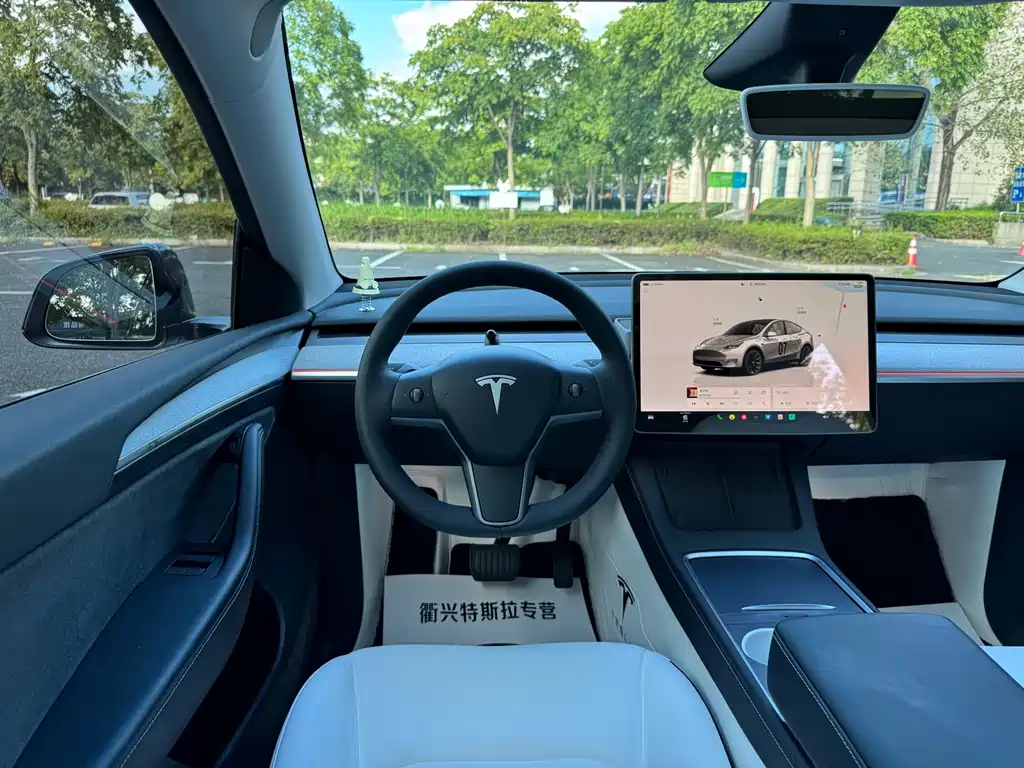 Tesla Model Y — миниатюра 10