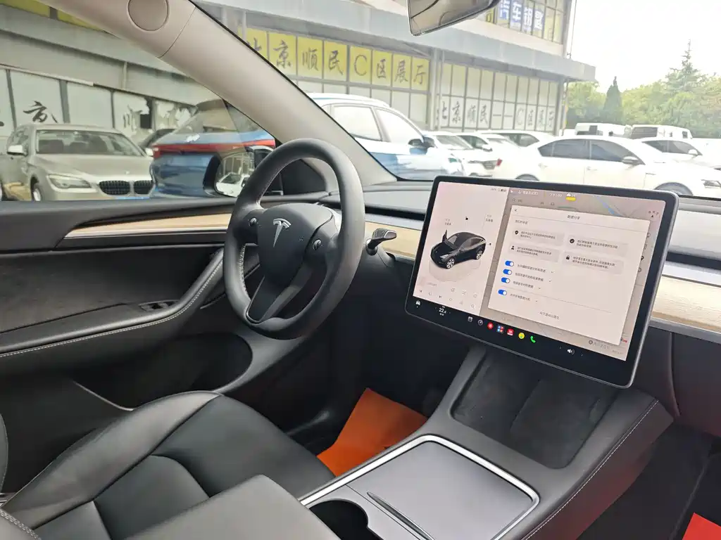 Tesla Model Y — миниатюра 11
