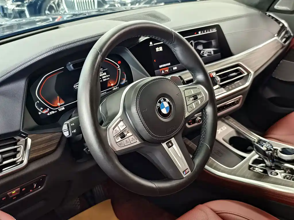BMW X5 — миниатюра 10