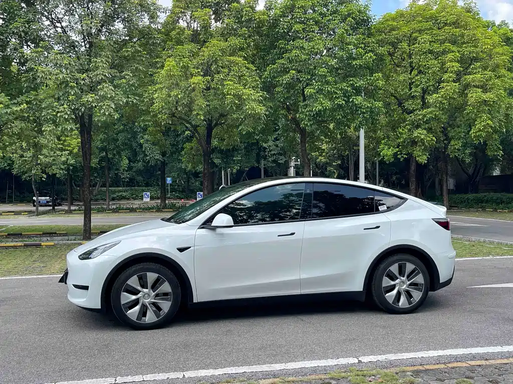 Tesla Model Y — миниатюра 7