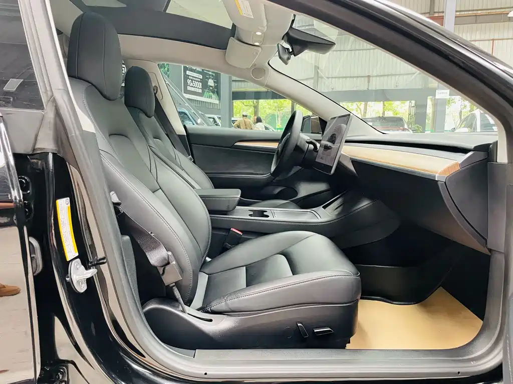 Tesla Model 3 — миниатюра 19