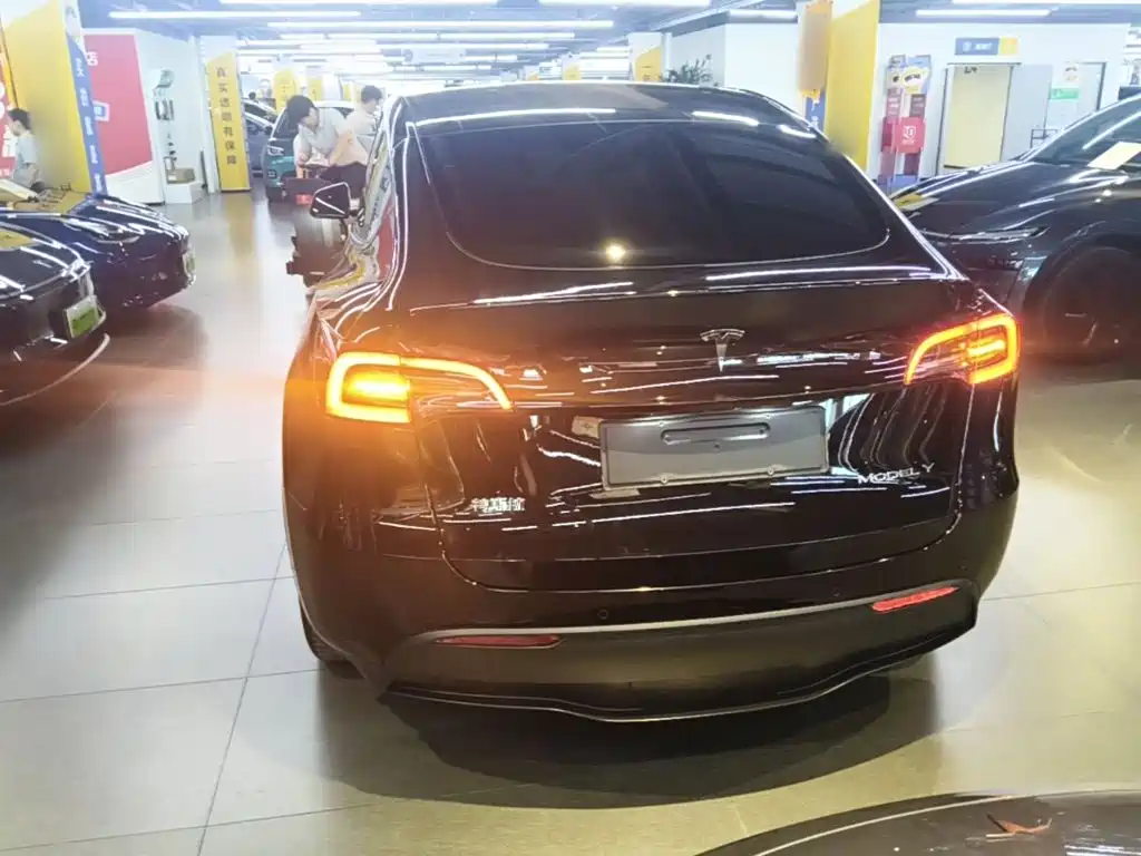 Tesla Model Y — миниатюра 6