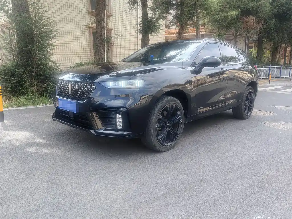 Купить Wey Wey VV7