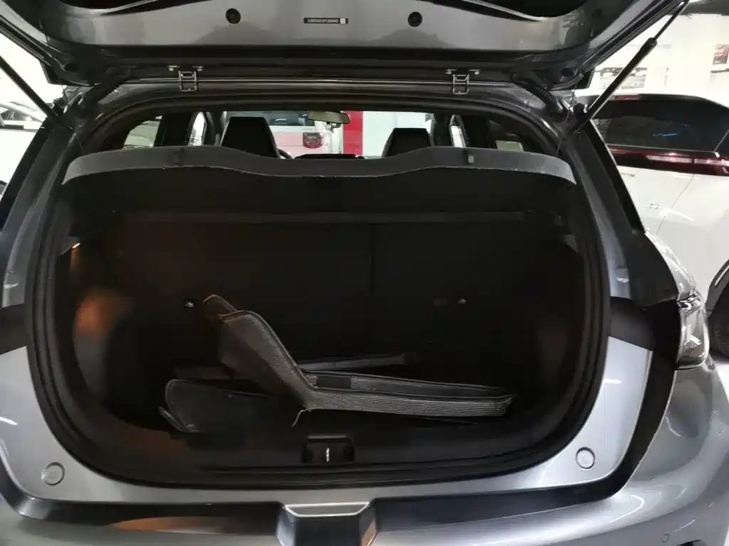 BYD Dolphin — миниатюра 19