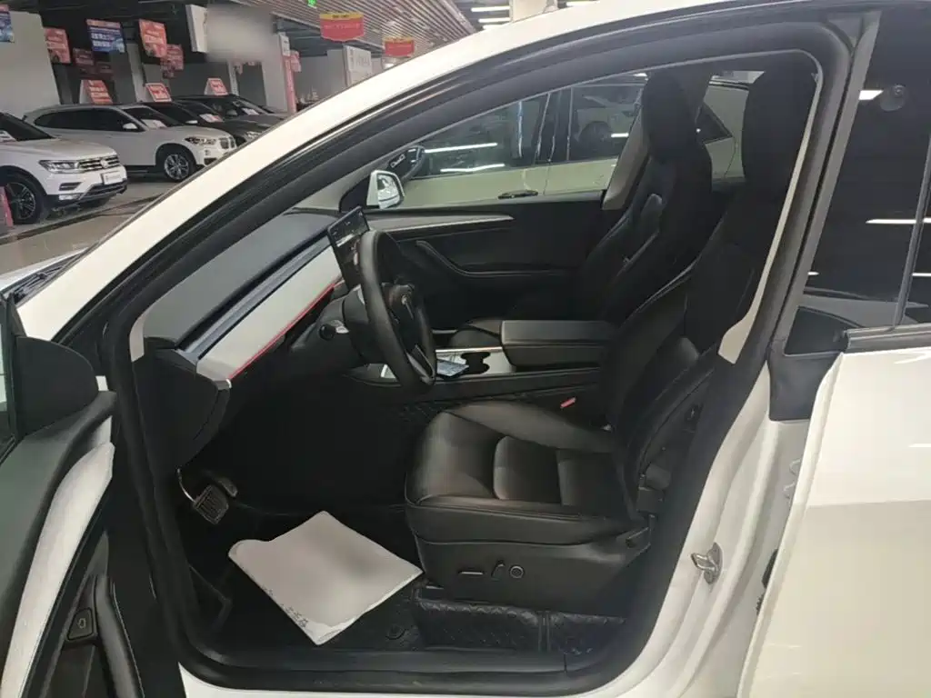Tesla Model Y — миниатюра 15