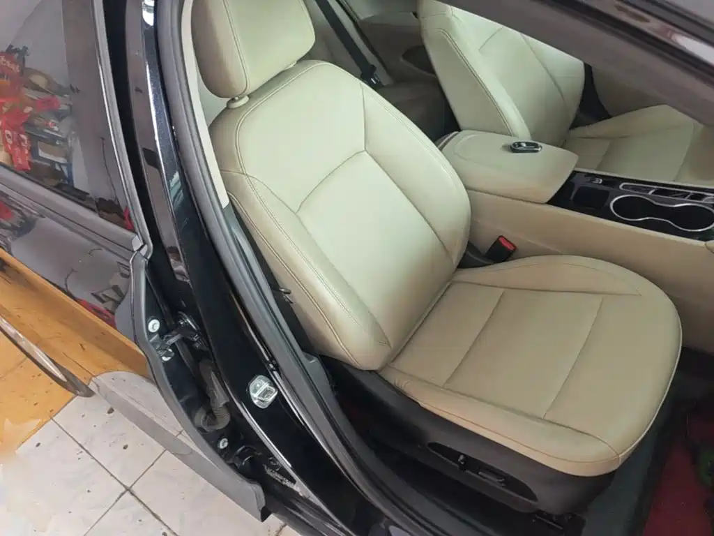 Buick Regal — миниатюра 25