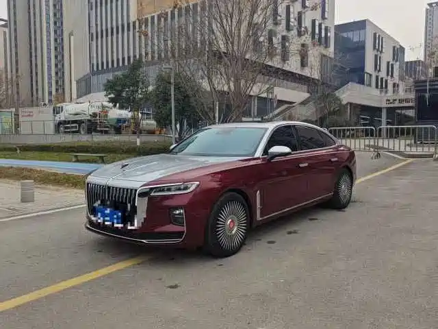 Hongqi Hongqi H9 2021