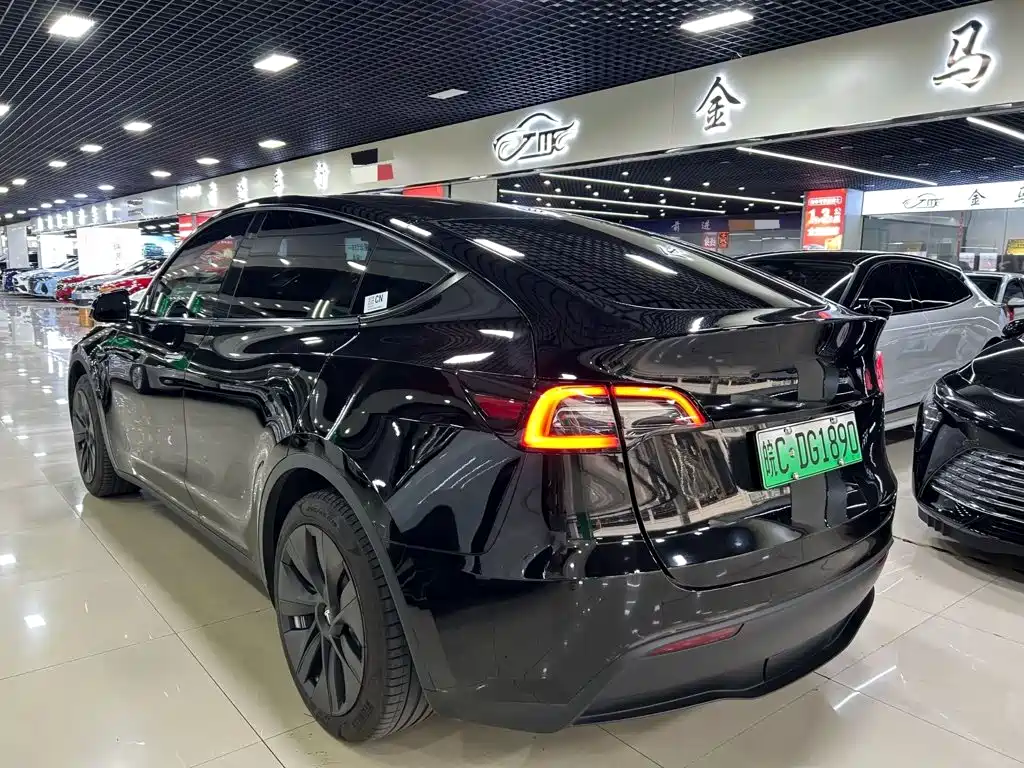 Tesla Model Y — миниатюра 6