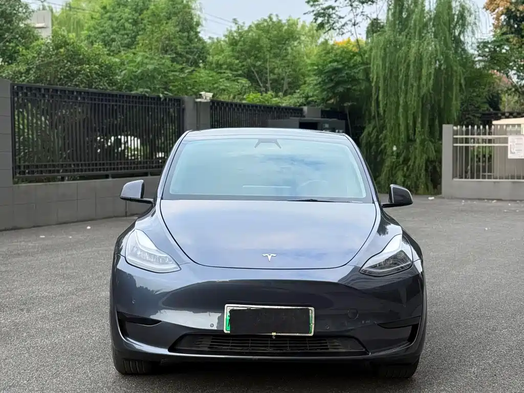 Tesla Model Y — миниатюра 3