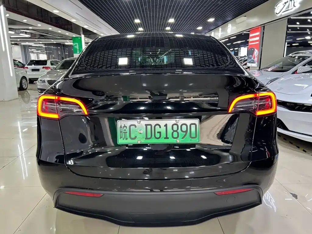 Tesla Model Y — миниатюра 7