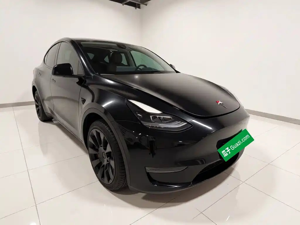 Tesla Model Y — миниатюра 3