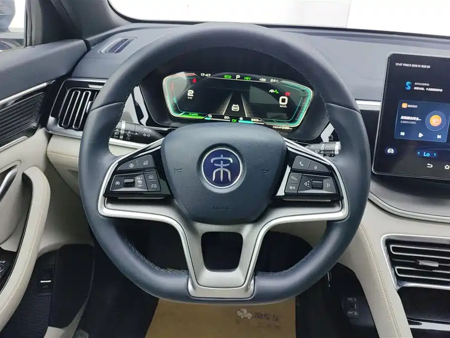 BYD SONGJIANG NEW ENERGY