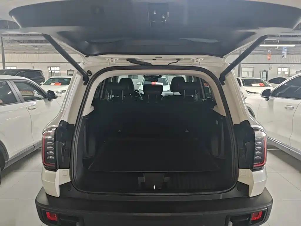 Haval Big Dog — миниатюра 19