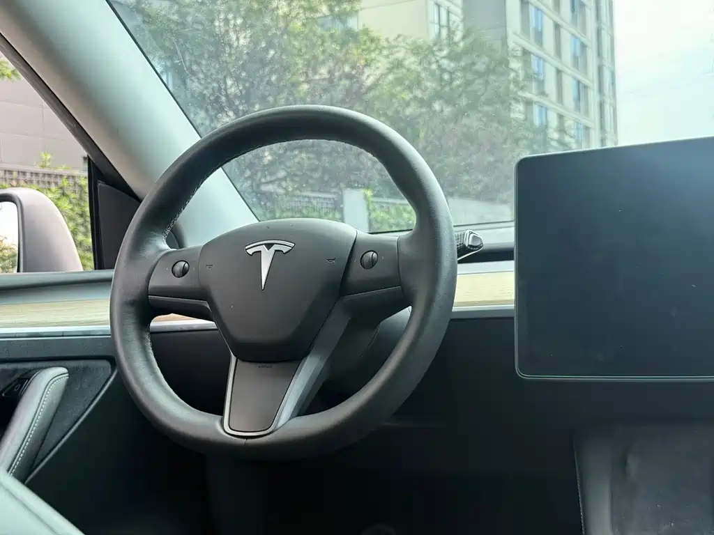 Tesla Model Y — миниатюра 9