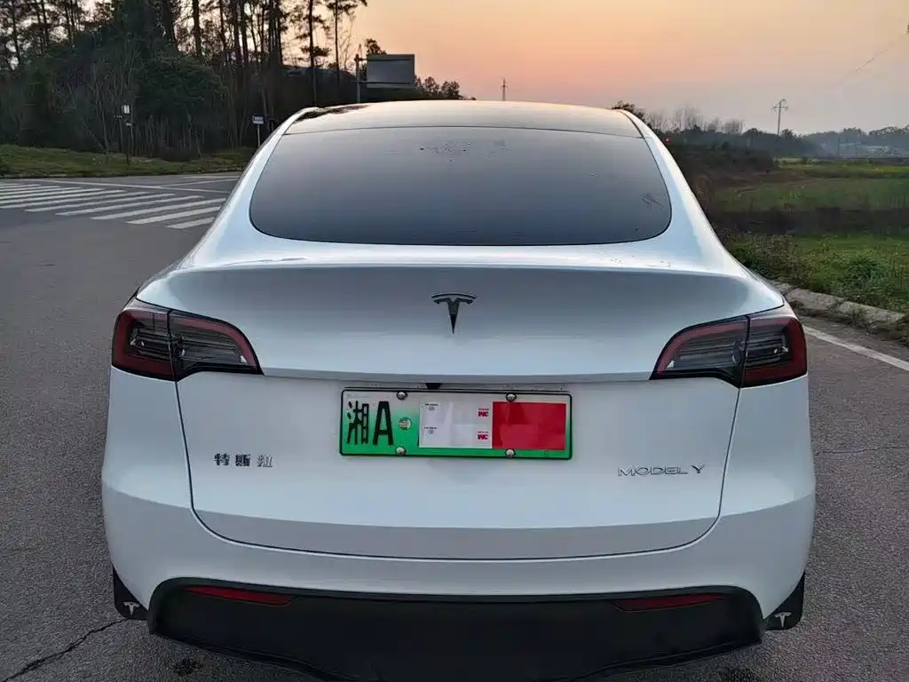 Tesla Model Y — миниатюра 7