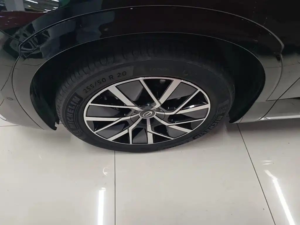 GAC Motor Trumpchi Xiangwang S9 — миниатюра 23