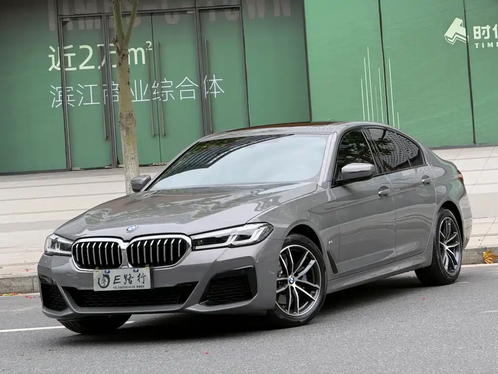 BMW 5 Series (Import) 2021