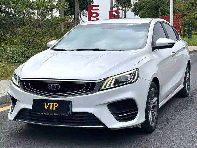 2019 Geely Binrui