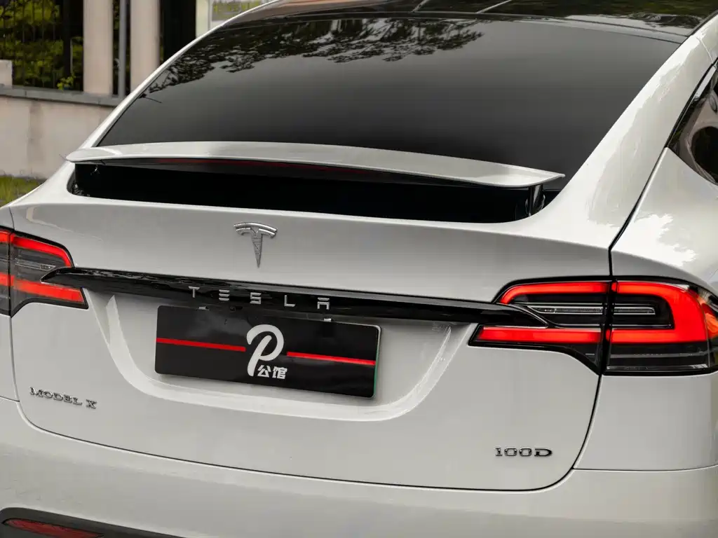 Tesla Model X 2017 Model X 100D