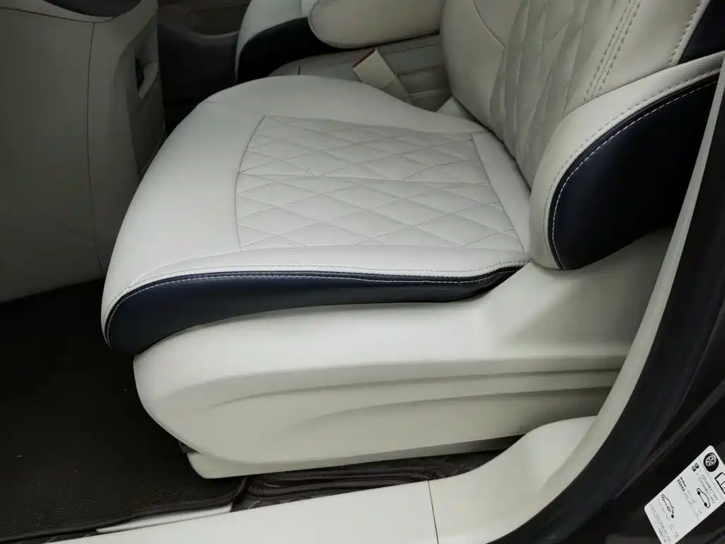 Buick GL8 — миниатюра 20