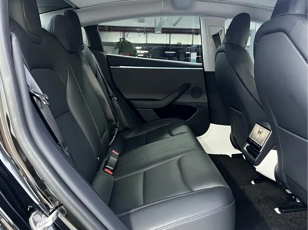 Tesla Model 3 — миниатюра 5