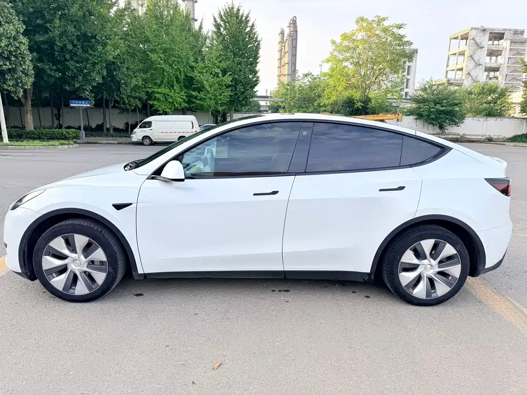 Tesla Model Y — миниатюра 4