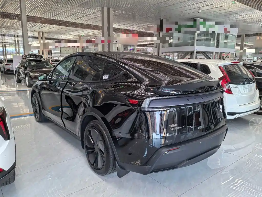 Tesla Model Y — миниатюра 5