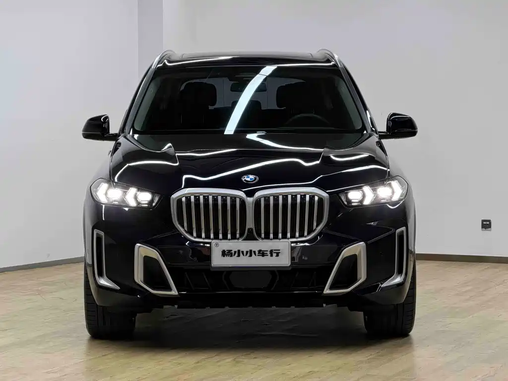 BMW X5 — миниатюра 2
