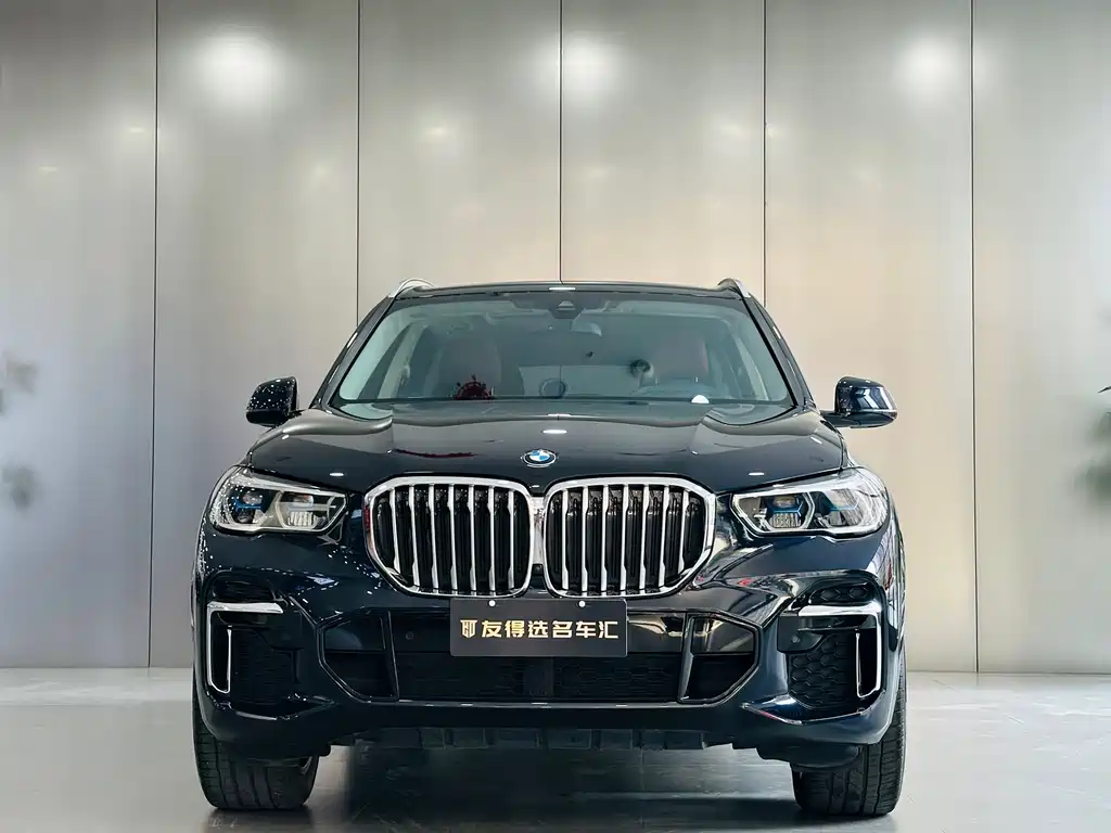 BMW X5 — миниатюра 2