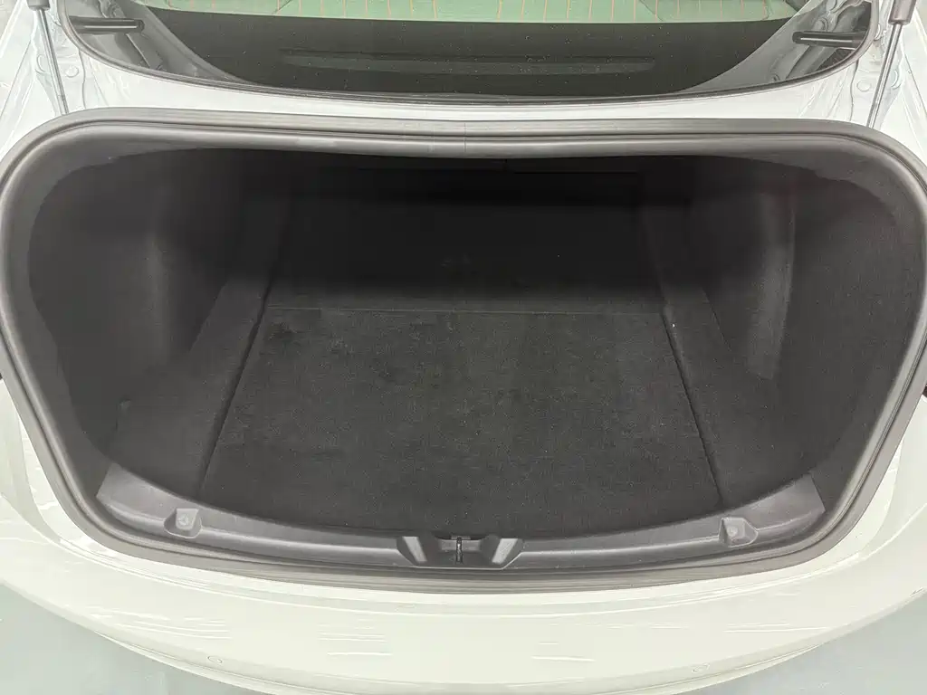 Tesla Model 3 — миниатюра 29