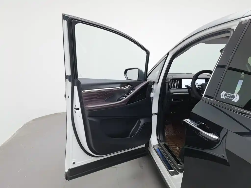 GAC Motor Trumpchi M8 — миниатюра 8