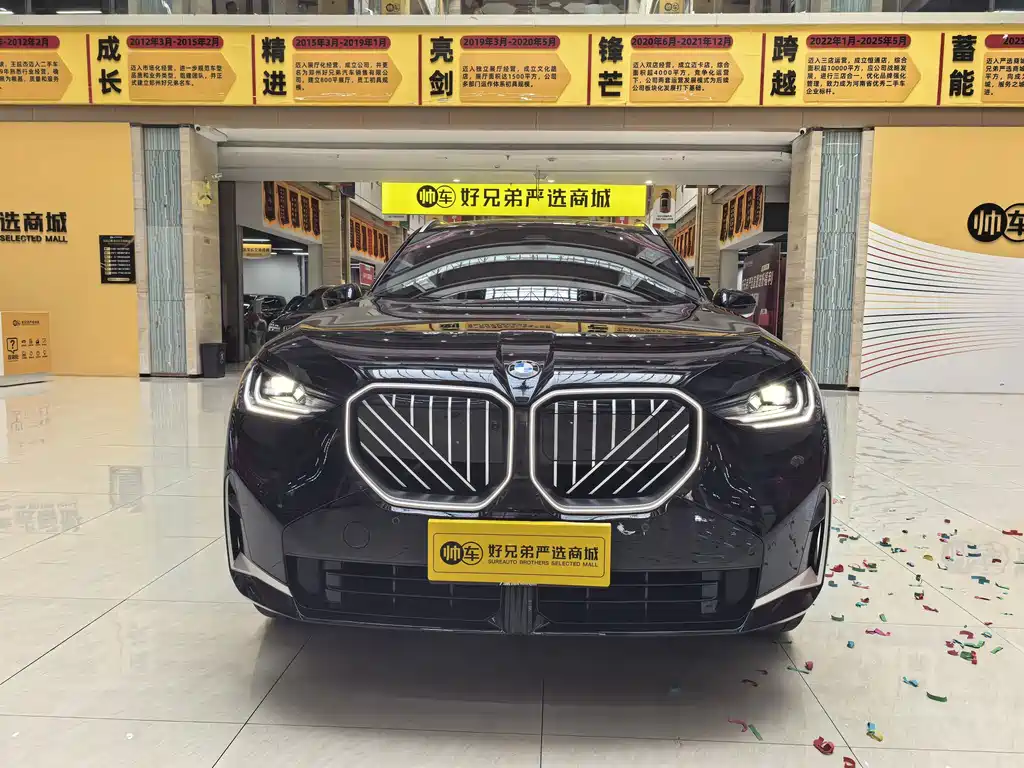 BMW X3 — миниатюра 2