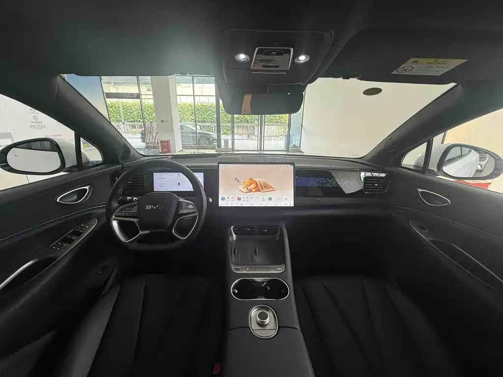 BYD Sealion 06 — миниатюра 6