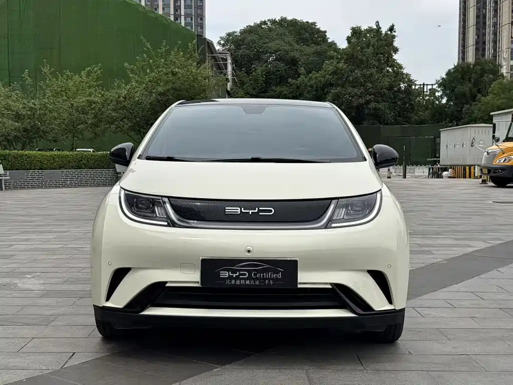 BYD Dolphin — миниатюра 2