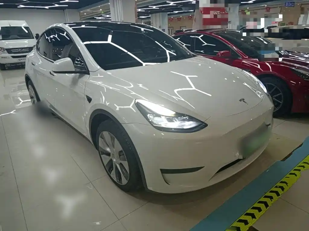 Tesla Model Y — миниатюра 4