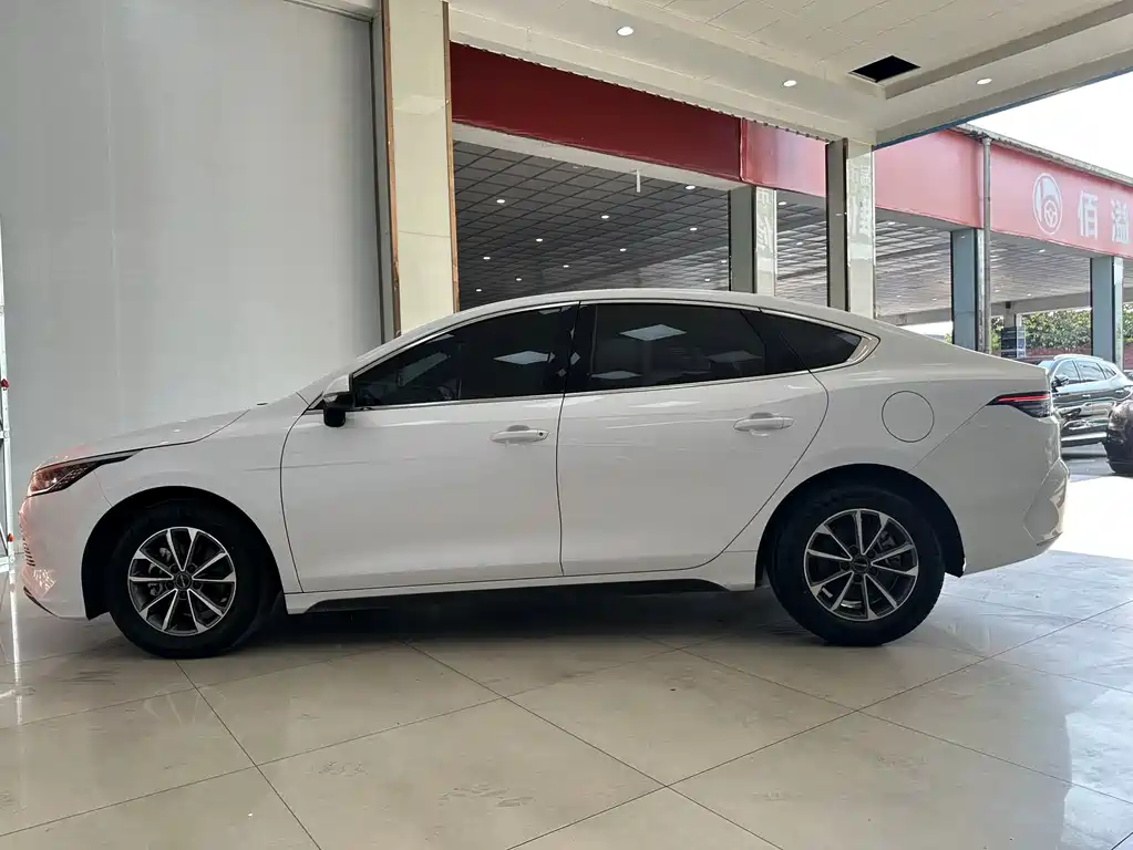 BYD Destroyer 05 — миниатюра 8