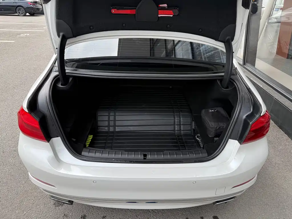 BMW 5 Series 5 2019 530Le Luxury