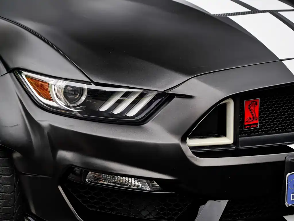 Ford Mustang 2.3T Performance Edition, фото 21