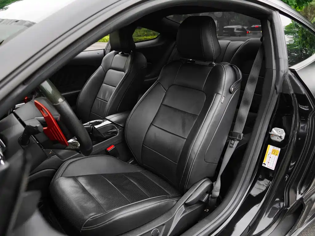 Ford Mustang 2.3T Performance Edition, фото 10