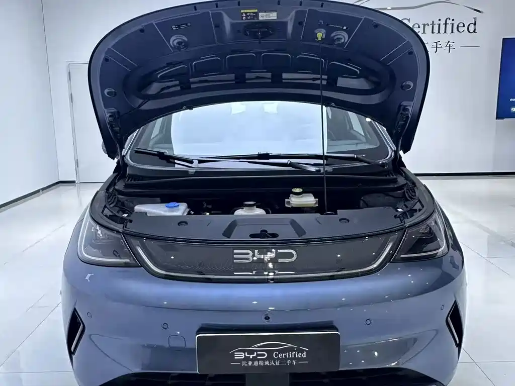BYD Dolphin — миниатюра 9