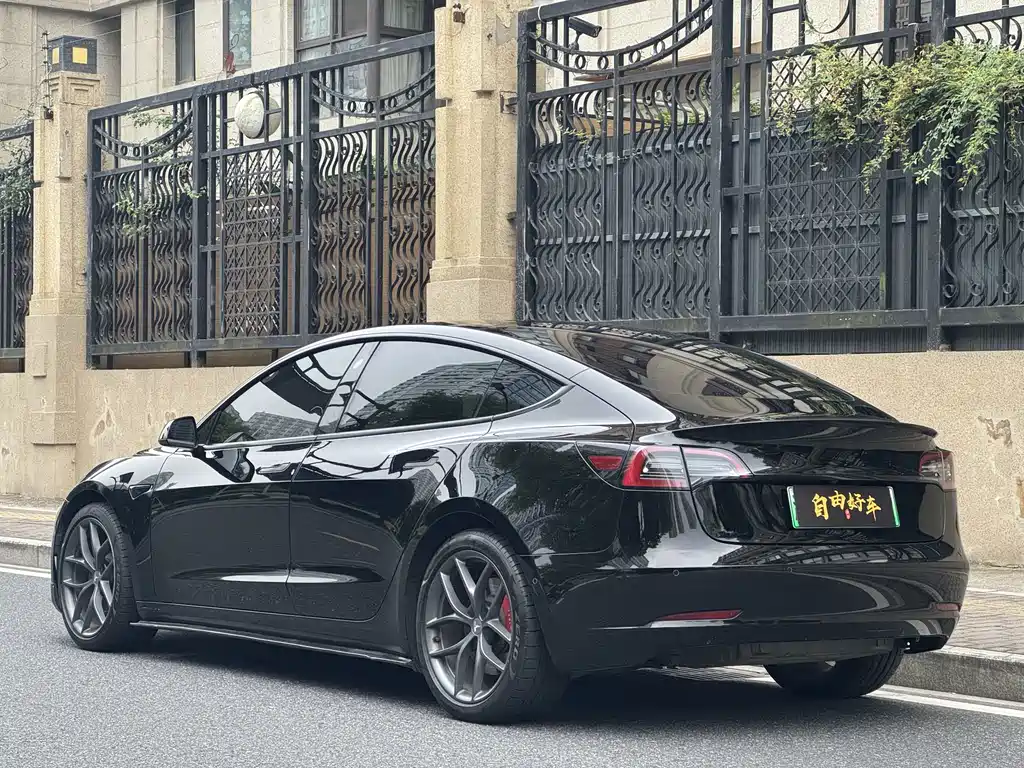 Tesla Model 3 — миниатюра 22